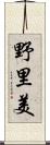 野里美 Scroll