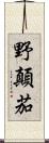 野顛茄 Scroll