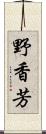 野香芳 Scroll