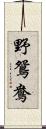 野鴛鴦 Scroll