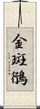 金斑鴴 Scroll