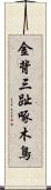 金背三趾啄木鳥 Scroll