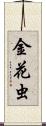 金花虫 Scroll