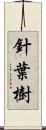 針葉樹 Scroll