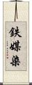 鉄媒染 Scroll