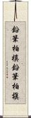 鉛筆柏槙 Scroll