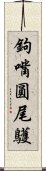 鉤嘴圓尾鸌 Scroll