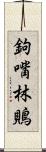 鉤嘴林鵙 Scroll