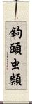 鉤頭虫類 Scroll