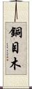銅目木 Scroll