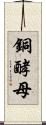 銅酵母 Scroll