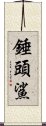 錘頭鯊 Scroll