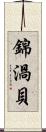錦渦貝 Scroll