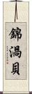 錦渦貝 Scroll