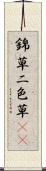 錦草 Scroll