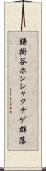 鎌掛谷ホンシャクナゲ群落 Scroll