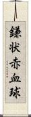 鎌状赤血球 Scroll