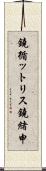 鐃循ットリス鐃緒申 Scroll