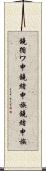 鐃循ワ申鐃緒申族 Scroll
