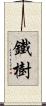 鐵樹 Scroll