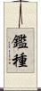 鑑種 Scroll
