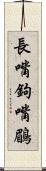 長嘴鉤嘴鶥 Scroll