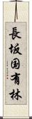 長坂国有林 Scroll