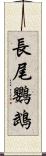 長尾鸚鵡 Scroll