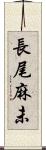 長尾麻未 Scroll