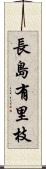 長島有里枝 Scroll