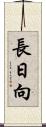長日向 Scroll