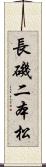 長磯二本松 Scroll