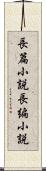 長篇小説 Scroll