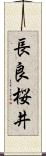長良桜井 Scroll