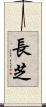 長芝 Scroll