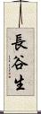 長谷生 Scroll