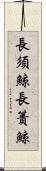 長須鯨 Scroll