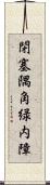 閉塞隅角緑内障 Scroll