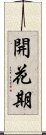 開花期 Scroll
