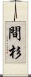 間杉 Scroll