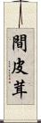 間皮茸 Scroll