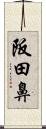 阪田鼻 Scroll