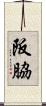 阪脇 Scroll