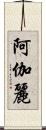 阿伽麗 Scroll