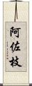 阿佐枝 Scroll