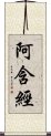 阿含經 Scroll