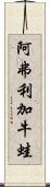 阿弗利加牛蛙 Scroll