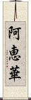 阿恵華 Scroll