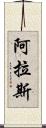 阿拉斯 Scroll