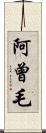 阿曾毛 Scroll